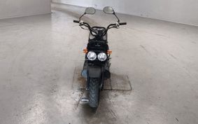 HONDA ZUMAR AF58