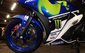 YAMAHA YZF-R25 RG10