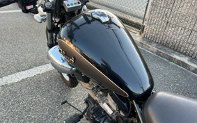 YAMAHA VIRAGO 250 3DM