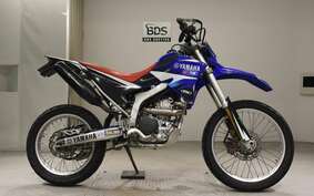 YAMAHA WR250R DG15J