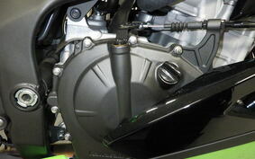 KAWASAKI ZX-4RR 2023 ZX400P