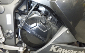 KAWASAKI NINJA 250 EX250L