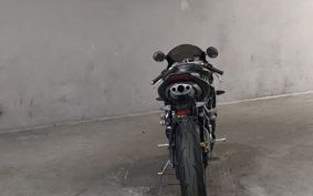 TRIUMPH TRIUMPH DAYTONA675 TMD106