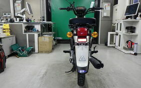 HONDA CROSS CUB 110 JA45