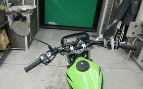 KAWASAKI SUPER SHERPA KL250G