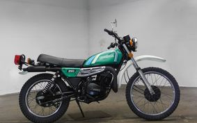 SUZUKI TS250 TS2504