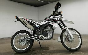 YAMAHA WR250X DG15J