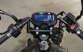 YAMAHA FZ-X RG73