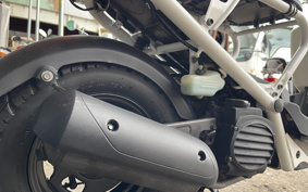 HONDA ZUMAR AF58