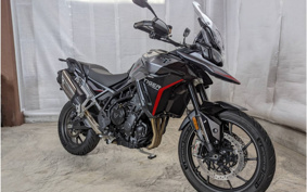 TRIUMPH  TRIUMPH  TIGER 900 2024 TRC81D