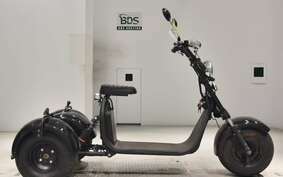 OTHER デンドウUNREGISTERED MODEL by BDS TRIKE