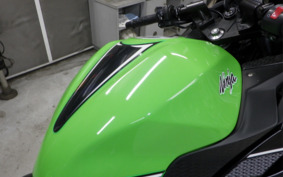 KAWASAKI NINJA 250 ABS EX250L