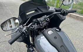 HARLEY  HARLEY FXLRST 2022 YXZ