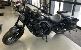 KAWASAKI NINJA 250 EX250L