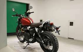 TRIUMPH SCRAMBLER1200X 2024