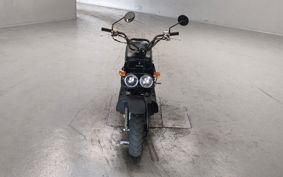 HONDA ZUMAR AF58