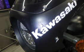 KAWASAKI W800 STREET 2020 EJ800B