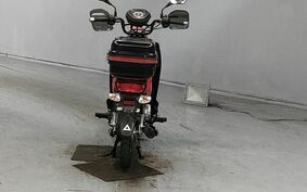 HONDA CROSS CUB 110 JA10