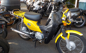 HONDA CROSS CUB 110 JA10