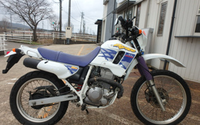 HONDA XL250 DEGREE MD26