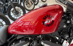 HARLEY HARLEY XL883N 2019 LE2