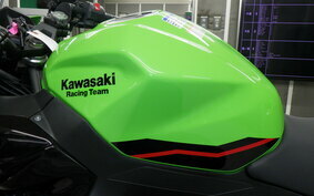 KAWASAKI NINJA 250 EX250P