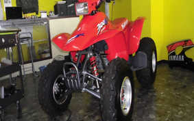 HONDA FOURTRAX 300EX TE19