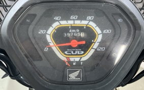 OTHER C110PU LOW 2