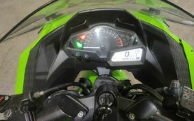 KAWASAKI NINJA 250 EX250L