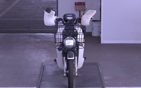 OTHER C110PU LOW 2