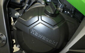 KAWASAKI NINJA 250 EX250L