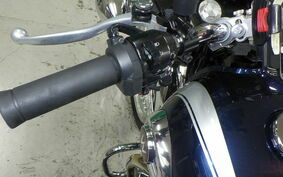 KAWASAKI W800 2021 EJ800B