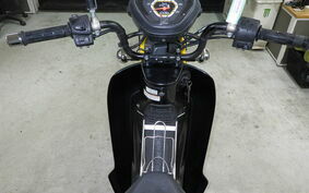 HONDA CROSS CUB 110 JA10