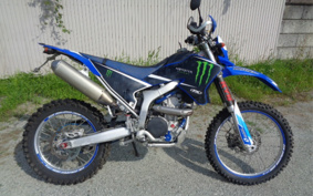 YAMAHA WR250R DG15J