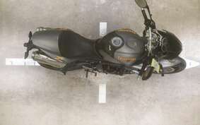 TRIUMPH STREET TRIPLE R 2009 MD4166