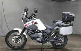 YAMAHA XT660 TENERE Z 2009 DM021