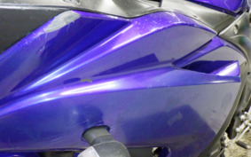 YAMAHA YZF-R25