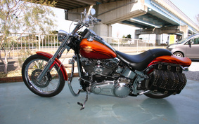 HARLEY FXSTC 2007 JL5