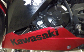 KAWASAKI NINJA 250 EX250L