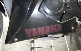 YAMAHA YZF-R25 RG43J