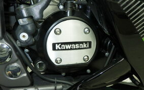 KAWASAKI NINJA150RR KR150P