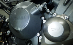 YAMAHA MT-09 2014 RN34J