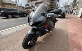 SUZUKI GSX-R1000 2019 DM11A