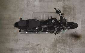 HARLEY XL1200X 2013