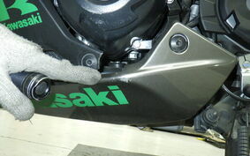 KAWASAKI NINJA 1000 SX 2021 ZXT02K