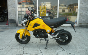 HONDA GROM JC61
