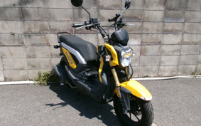 HONDA ZOOMERX JF52