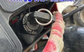 HONDA TLM50