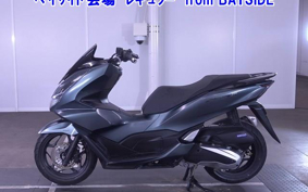OTHER PCX160