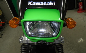 KAWASAKI SUPER SHERPA KL250G